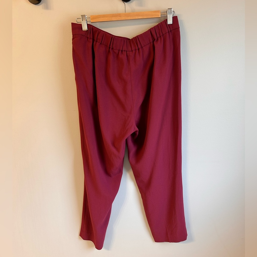 Aritzia Babaton Conan Cropped Pant - Picture 3 of 8